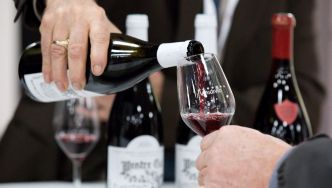 Santé : le vin rouge ne guérit pas l'arthrose, contrairement aux idées reçues