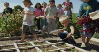 Les enfants doivent-ils apprendre à cultiver des aliments dans le cadre de leur scolarité ? ﻿