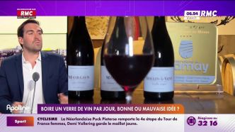 On n'a pas osé vous en parler : Boire un verre de vin par jours, bonne ou mauvaise idée ? - 15/08