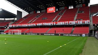 Rennes s'offre Henrik Meister