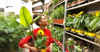 Dijon. Galeries Lafayette : trois jours pour faire entrer la nature dans votre salon dès 0,99 €