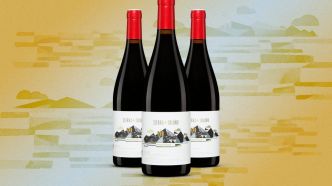 Le vin de la semaine : un rouge vibrant de la Rioja