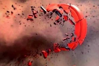 Ball-Trap: les championnes et champions de France de DTL sont médaillés !