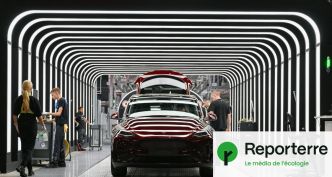 Elon Musk freine l'agrandissement de son usine Tesla en Allemagne
