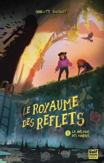 Le Royaume des reflets, un univers urbain sens dessus dessous
