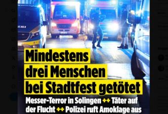 Allemagne : le festival de la Diversité tourne au carnage