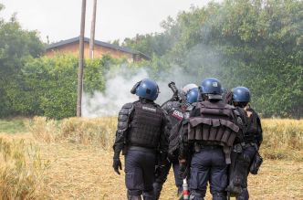 A69 : avant la reprise des coupes d'arbres, les gendarmes tentent de déloger les opposants