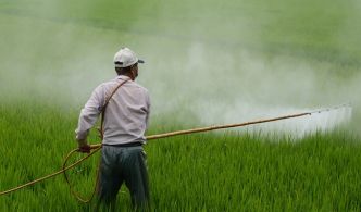 Pesticides dangereux en Tunisie : une menace persistante malgré les interdictions en Europe