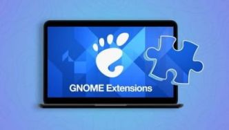 Utiliser Lilypad pour réorganiser ou cacher les icônes dans GNOME Shell