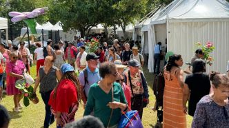 17ème édition de Festi-Plantes : Nature et festivités au Parc du Colosse