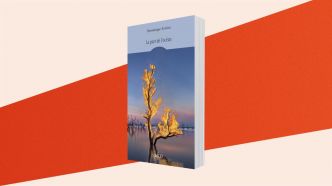 Le roman du mois : La part de l'océan, de Dominique Fortier