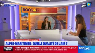 Alpes-Maritimes: les effets délétères à court et long terme de l'exposition à la pollution de l'air