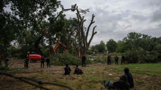 A69 : la préfecture annonce la fin des opérations de déboisement nécessaires au chantier