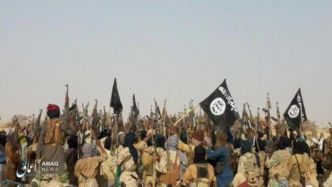 Lutte contre l'État islamique : l'Afrique en première ligne...