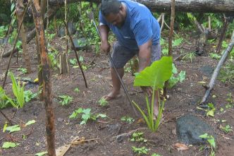 Crise calédonienne : un an après à Wallis et Futuna