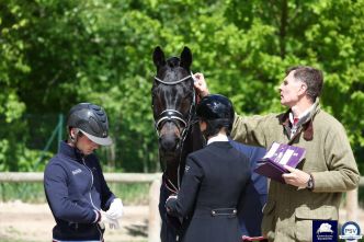Droit équin : Pas de papiers, pas de cheval