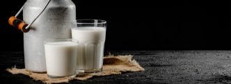 Que penser des laits de chèvre et de brebis ? Du lait cru ?