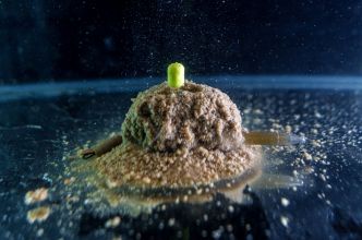 Comment débuter la pêche au method feeder ?