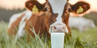 Hypersensibilité aux caséines de lait de vache