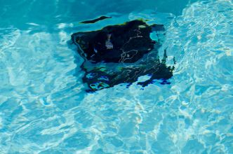 Quel robot piscine Zodiac choisir ?