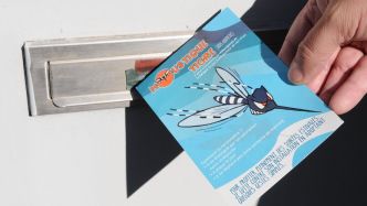 Chikungunya dans l'Hérault : "C'est déjà une alerte, et elle est précoce", un premier cas autochtone détecté, faut-il s'inquiéter ?