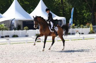 Dressage : Le changement de pied