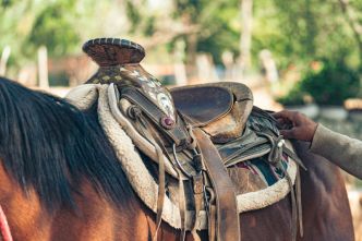 Comment choisir le bon matériel d'équitation pour garantir confort et performance ?