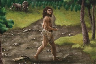Paléoanthropologie : la famille des dénisoviens s'agrandit