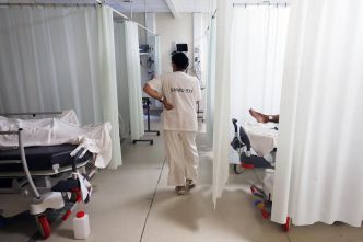 Chikungunya : les deux cas autochtones récents sont les plus précoces jamais identifiés en métropole