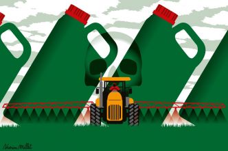 Glyphosate : la plus vaste étude animale conduite à ce jour confirme des risques accrus de cancers
