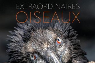 Onze beaux livres scientifiques à offrir pour les fêtes