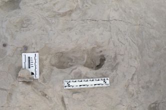 Des traces de pas au Kenya révèlent la cohabitation de deux espèces d'homininés