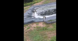 "Ils nous tuent à petit feu” : Veolia accusée de contaminer un marais en Colombie