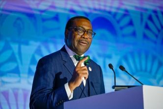 Qui succédera à Akinwumi Adesina à la tête de la Banque africaine de développement? (RFI)