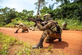Centrafrique : larmée ordonne un cessez-le-feu pour appuyer la réintégration de groupes armés dans le processus de paix (Xinhua)