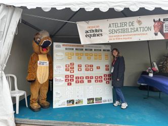 La Fresque des activités équines pour sensibiliser aux enjeux environnementaux