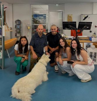 À Antibes, le lycée Léonard de Vinci compte sur le chien Treize pour déstresser ses élèves en plein bac