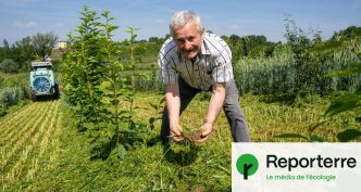 Ce pépiniériste cultive des arbres résistants au changement climatique