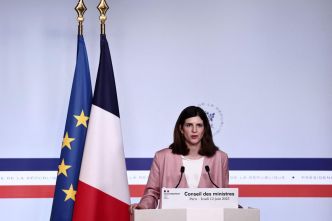 Sites porno : l'État va contester la suspension de l'arrêté sur la vérification de l'âge