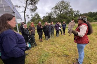 Morbihan : les Chasseresses Bretonnes à la découverte des Landes du Crano et de la chasse au vol