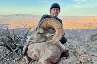 Mexique, Basse-Californie, Texas : le défi des 3 mouflons légendaires pour un chasseur français