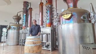 Entourée de vignes et de vergers, la découverte de la distillerie Mattei