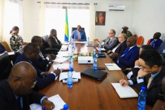 Gabon : l'État prône le service universel et le partage d'infrastructures télécoms