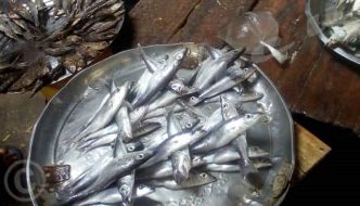 Région Sud/Rumonge : Montée en flèche du prix du poisson sur le marché