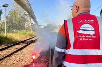 "On va mettre un coup au portefeuille de Mittal" : la CGT bloque les trains au passage à niveau de Florange