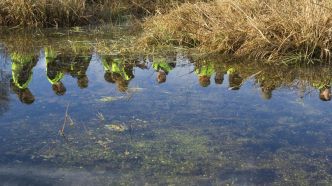 Enseignement agricole : sensibiliser les élèves à la préservation de la ressource en eau