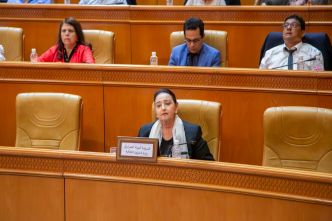 Amina Srarfi expose la stratégie du ministère au CNRD