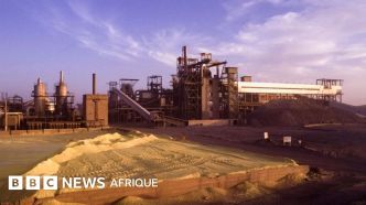 Pourquoi le Niger veut  nationaliser la société d'uranium du pays