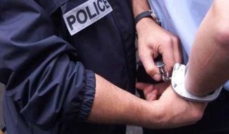 Manouba : Un apiculteur de Tebourba placé en détention