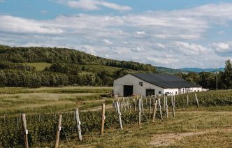 De la vigne au verre: porter un toast au Québec